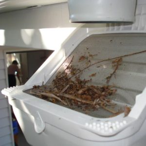 Rain Harvesting Leaf Eater Advanced 90mm with debris